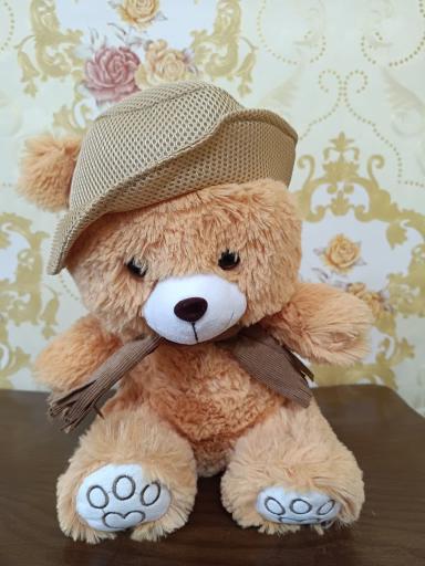 عکس فروشگاه عروسک واسباب بازی