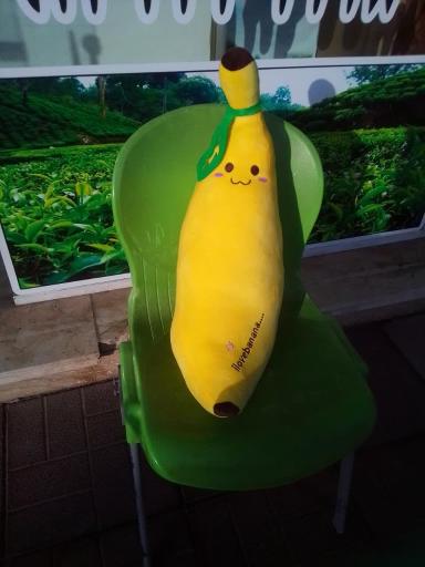 عکس فروشگاه عروسک واسباب بازی