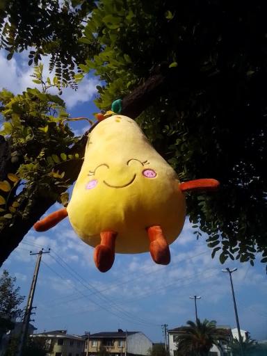 عکس فروشگاه عروسک واسباب بازی