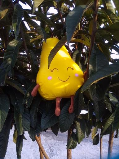 عکس فروشگاه عروسک واسباب بازی