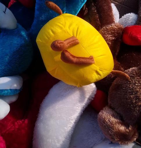 عکس فروشگاه عروسک واسباب بازی