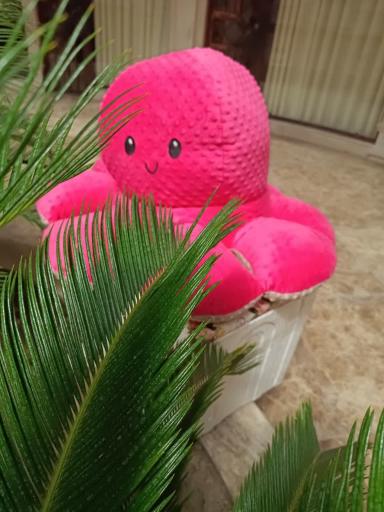 عکس فروشگاه عروسک واسباب بازی