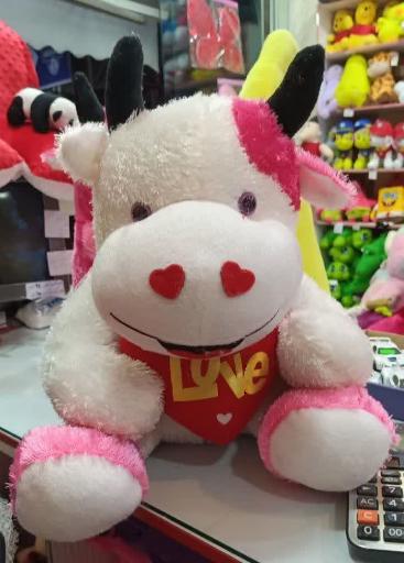 عکس فروشگاه عروسک واسباب بازی