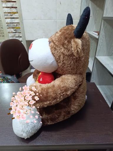 عکس فروشگاه عروسک واسباب بازی