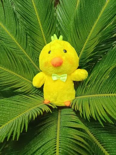 عکس فروشگاه عروسک واسباب بازی