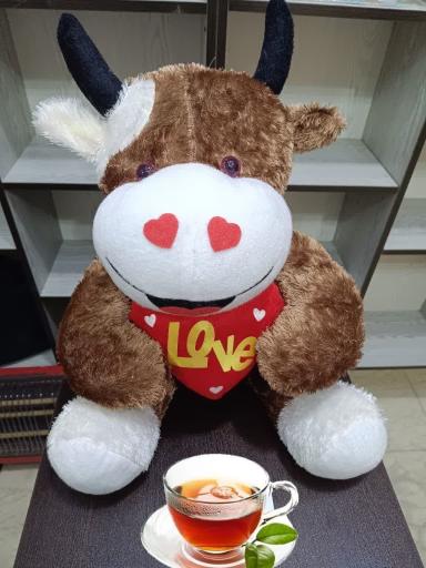 عکس فروشگاه عروسک واسباب بازی