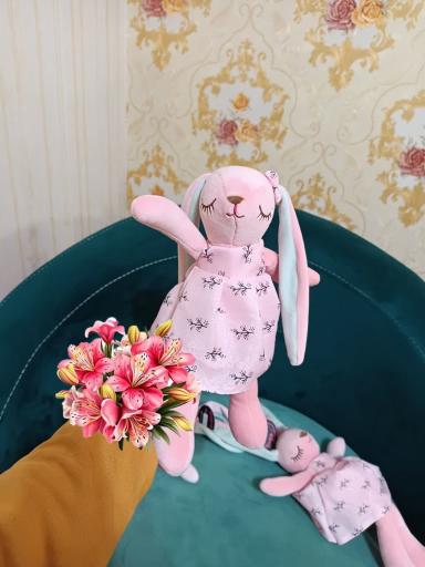 عکس فروشگاه عروسک واسباب بازی