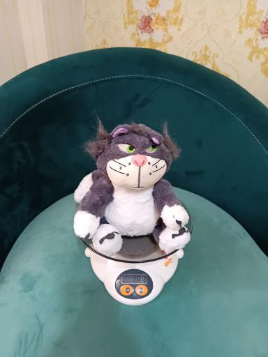 عکس فروشگاه عروسک واسباب بازی