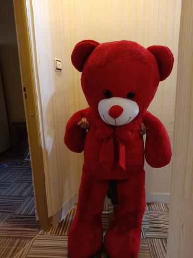 عکس فروشگاه عروسک واسباب بازی