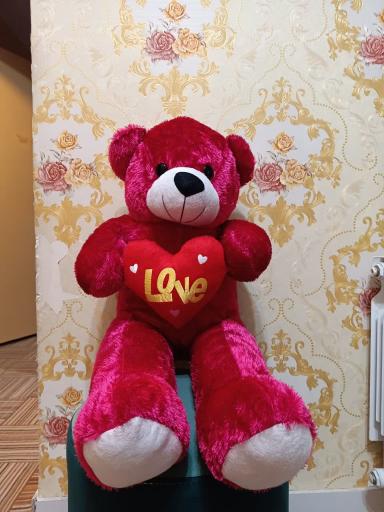 عکس فروشگاه عروسک واسباب بازی