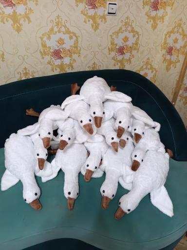 عکس فروشگاه عروسک واسباب بازی