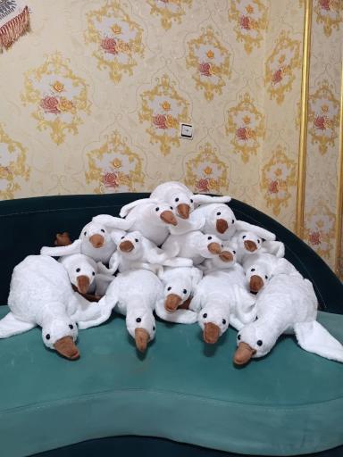 عکس فروشگاه عروسک واسباب بازی