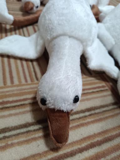 عکس فروشگاه عروسک واسباب بازی