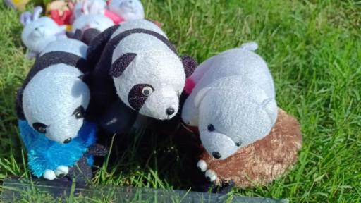 عکس فروشگاه عروسک واسباب بازی