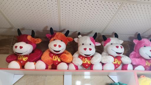 عکس فروشگاه عروسک واسباب بازی