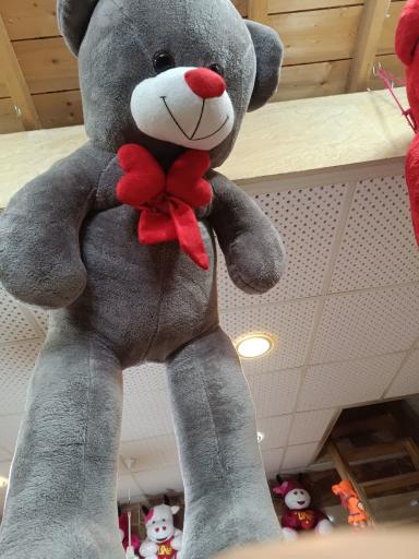 عکس فروشگاه عروسک واسباب بازی