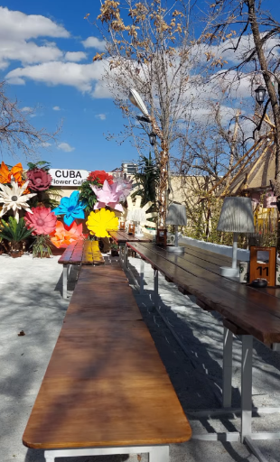 عکس کافه گل کوبا