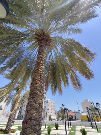 عکس بوستان خانواده