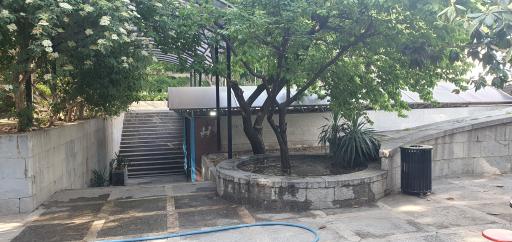 عکس استخر شهدای نیاوران