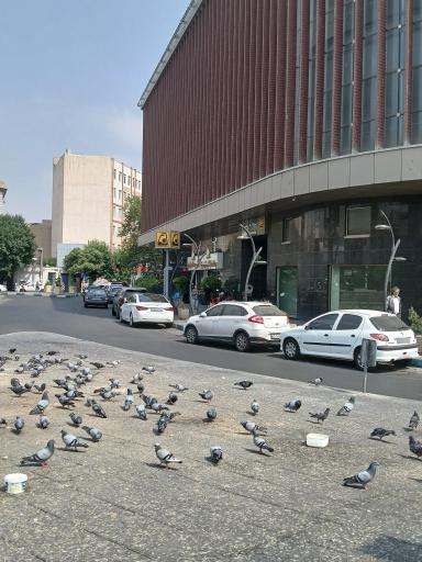 عکس دروازه شمیران