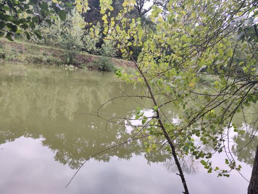 عکس تالاب سوخته کوه