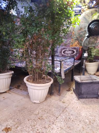 عکس رستوران جوانان1