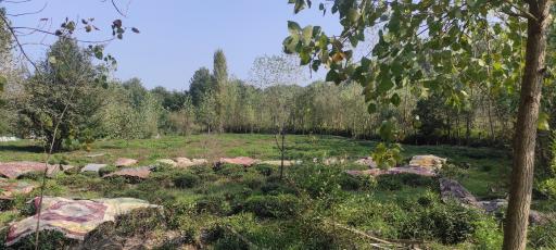 عکس تالاب سوخته کوه