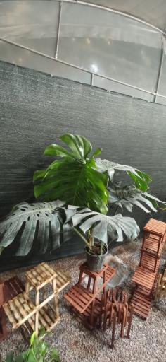 عکس گلخانه ملورین