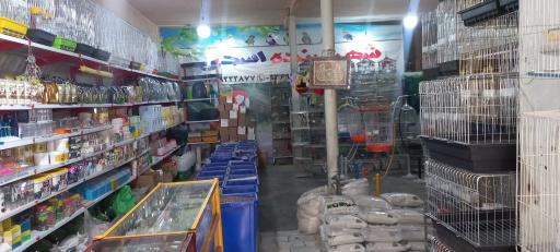 عکس پرنده فروشی مصر آبادی ها
