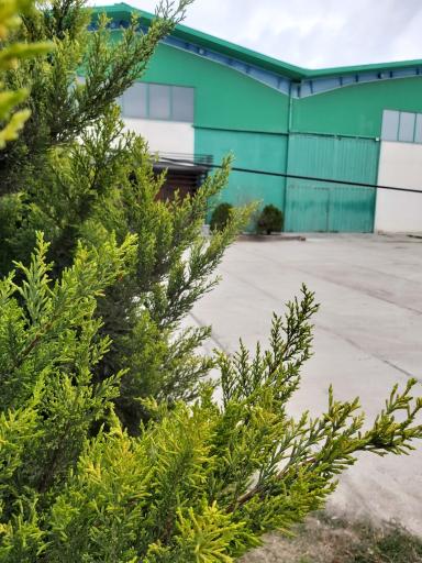 عکس پیشگامان آیان تاش