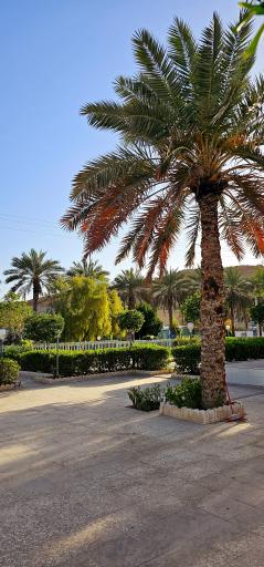 عکس هتل جهانگردی لارستان