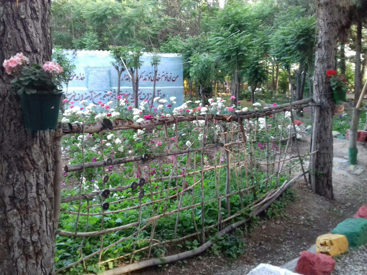 عکس کانون بزرگسالان چیتگر