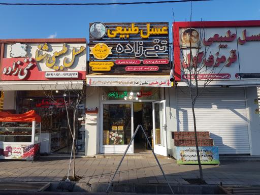 عکس عسل تقی زاده