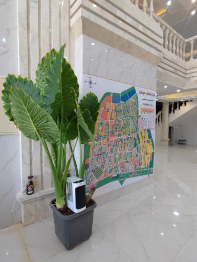 عکس دپارتمان املاک میران