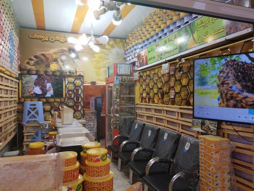 عکس عسل تقی زاده