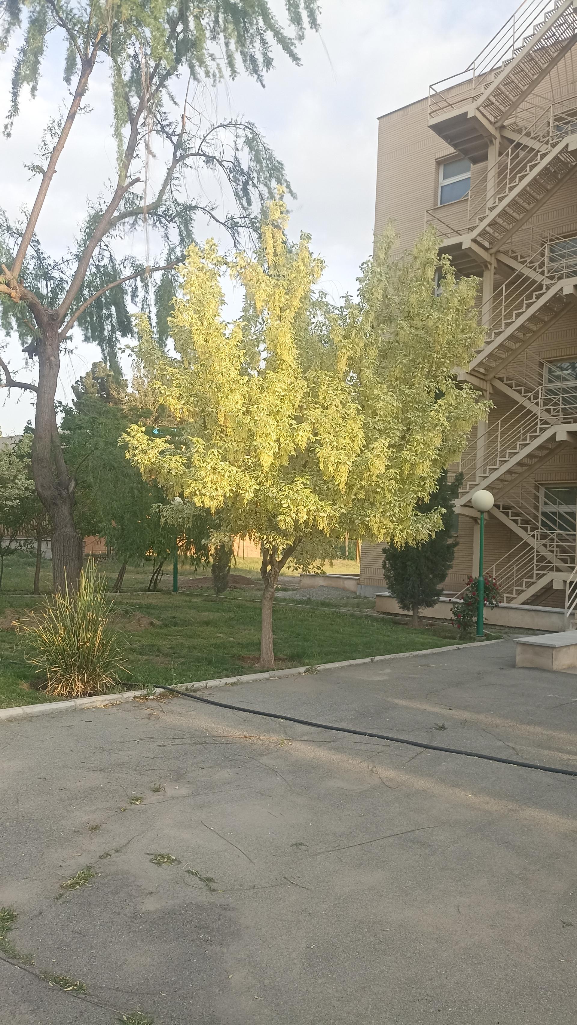 عکس خوابگاه 3 پسران