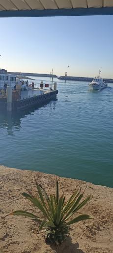 عکس بندر مسافری شهید حقانی