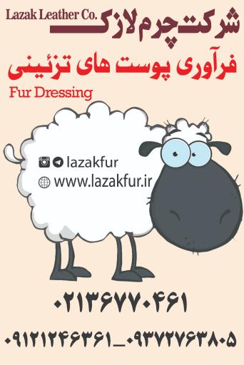 عکس شرکت چرم لازک