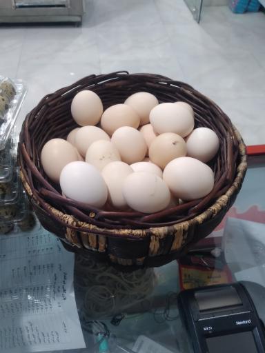 عکس لبنیات سید طالقان