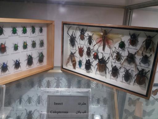 عکس موزه علوم و فنون