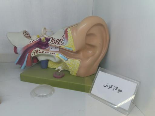 عکس موزه علوم و فنون