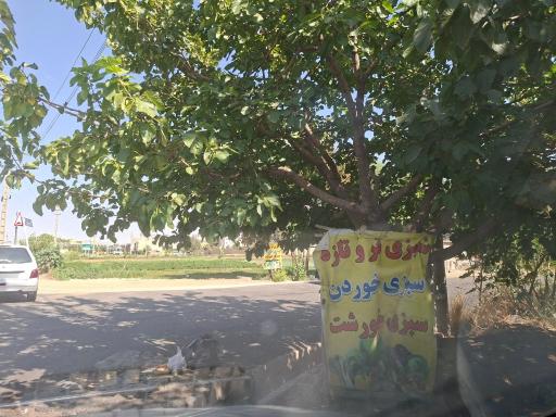 عکس سبزی فروشی تازه