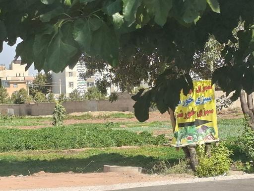 عکس سبزی فروشی تازه