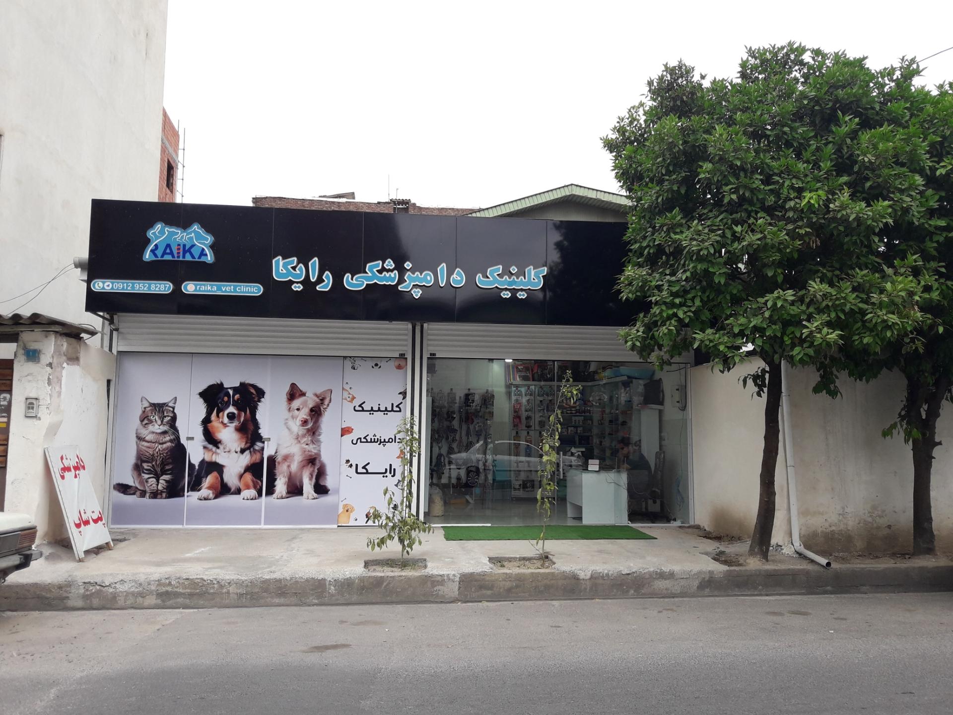 عکس کلینیک دامپزشکی رایکا