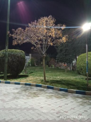 عکس پارک بهار