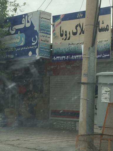 عکس مشاور املاک رویا