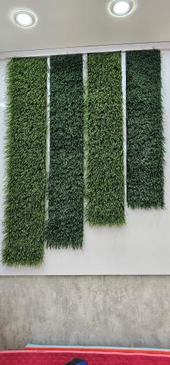 عکس پیشرو ورزش