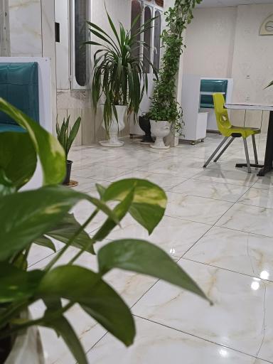 عکس فست فود میامی