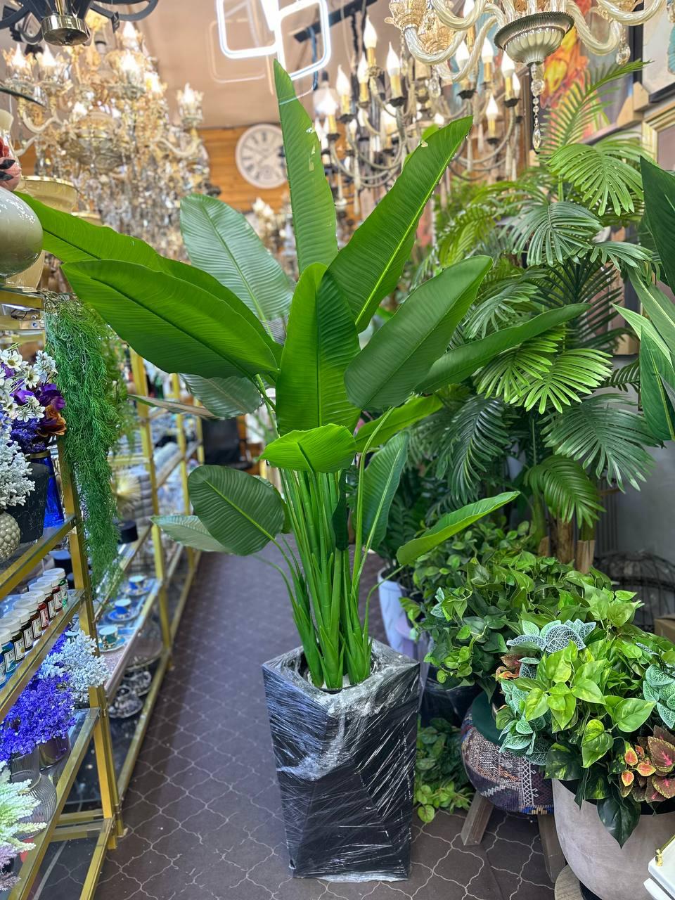 عکس دکوری و تزیینات منزل نیوشلف