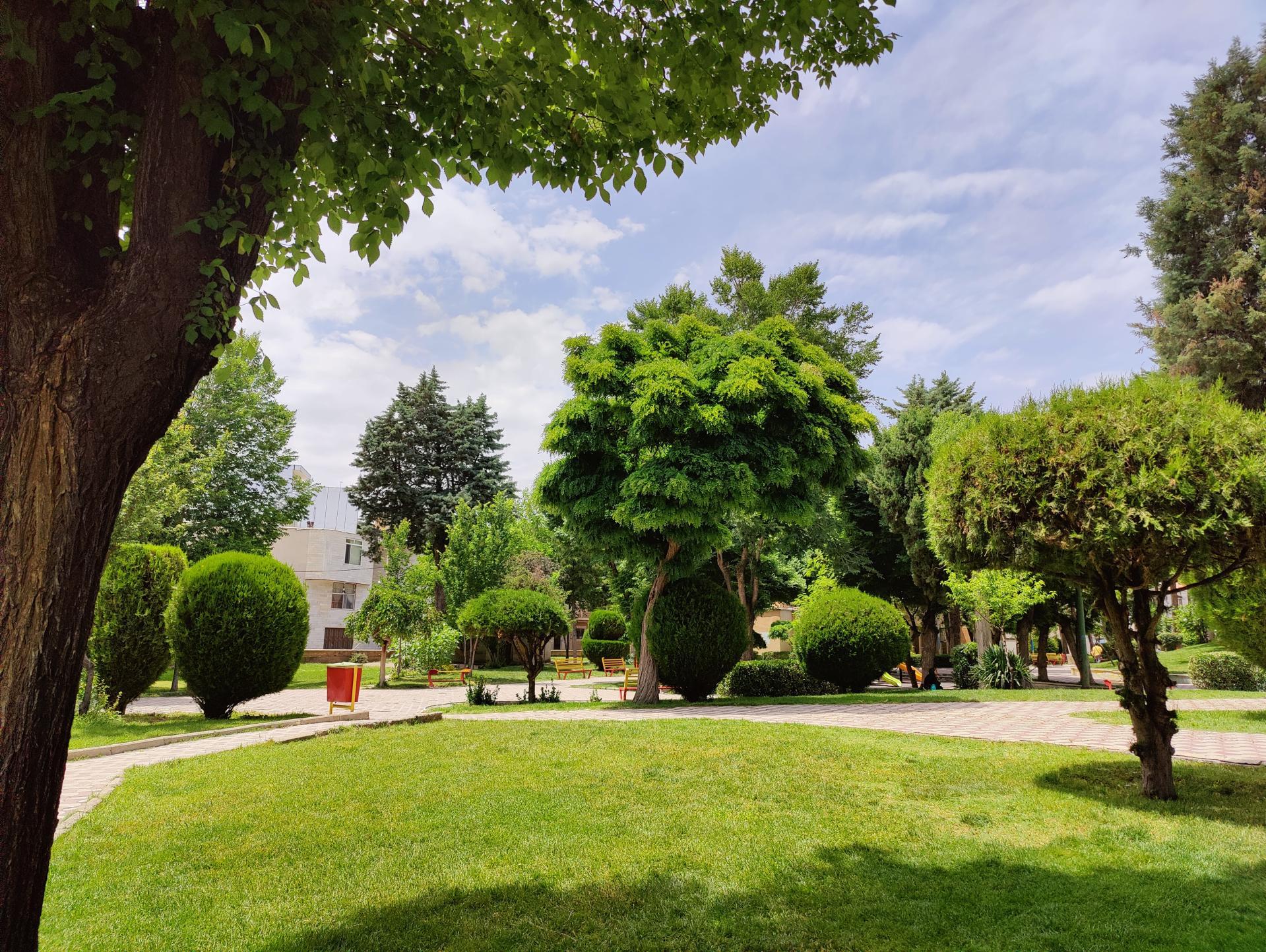 عکس پارک بهار